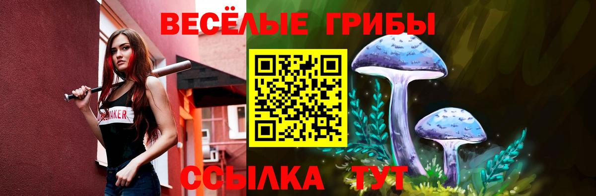 Галлюциногенные грибы мицелий Зима