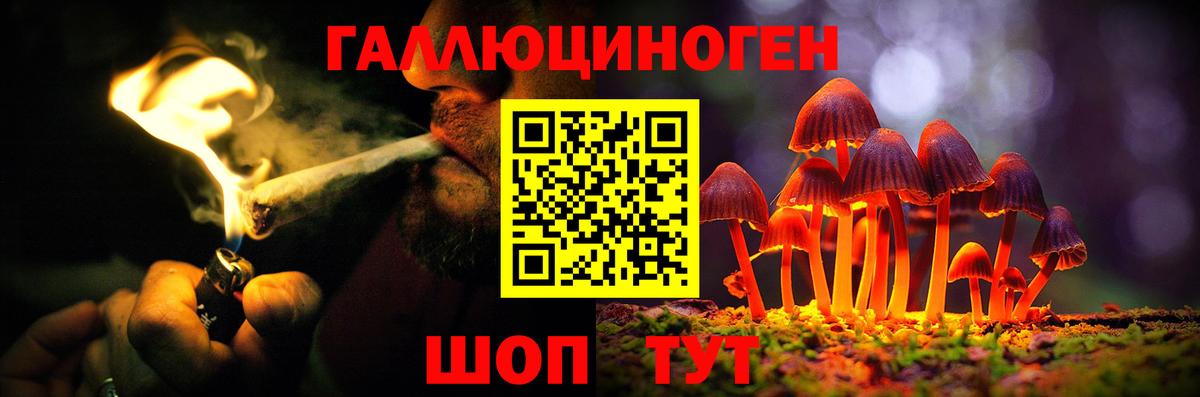 Зима  Галлюциногенные грибы мицелий  Вход с VPN 